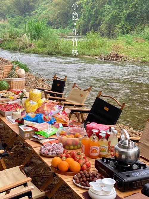 美食露营岛pc端