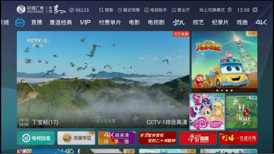 中国移动电视直播
春节版