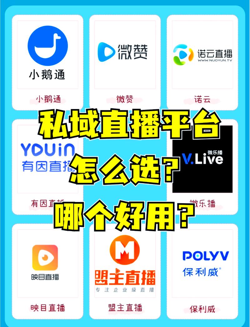 十大不封号直播