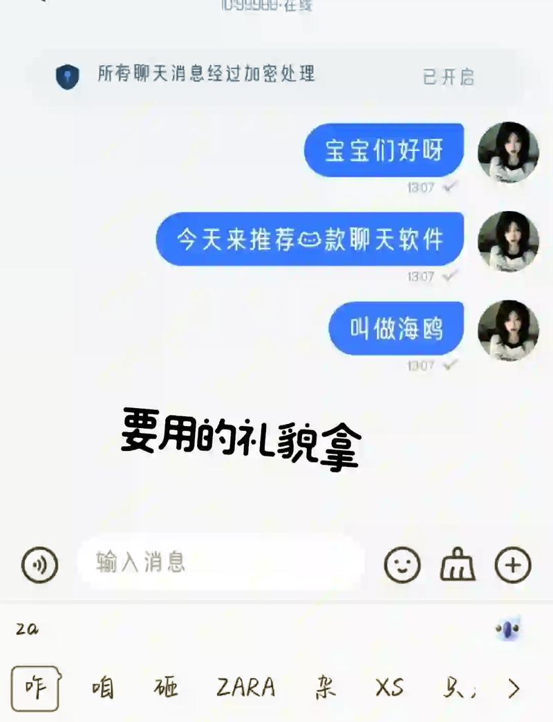 海鸥聊天