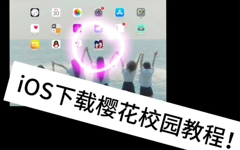 樱花校园201免广告修改版