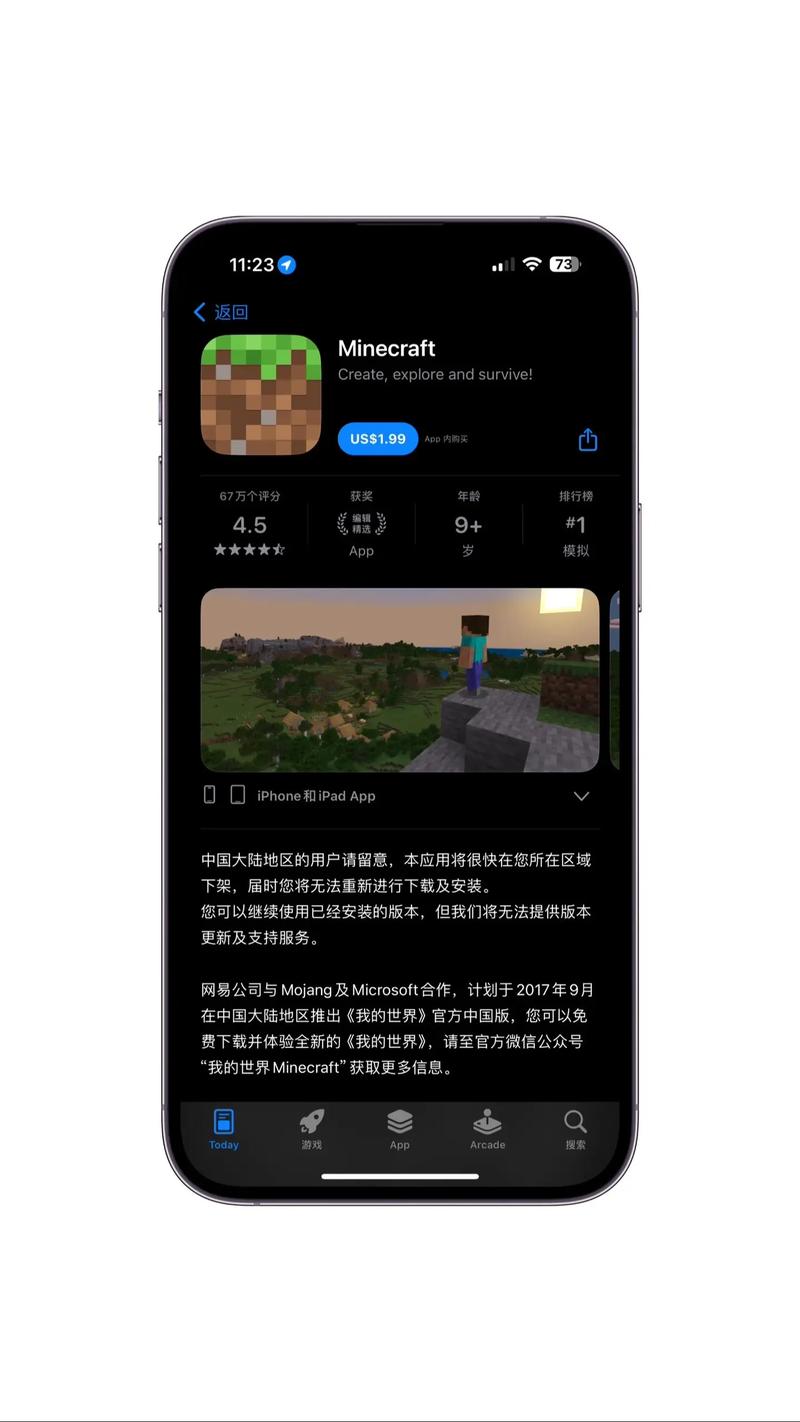 微软模拟器20