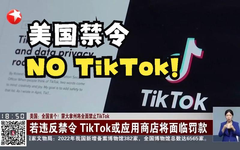 美国禁TikTok