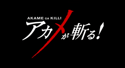 赤瞳论坛aide 魔改版