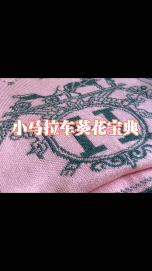 稀缺小马拉车资源2023解锁全部书源电子版