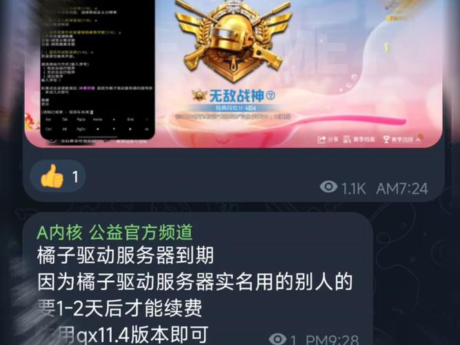 和平精英公益内核免费