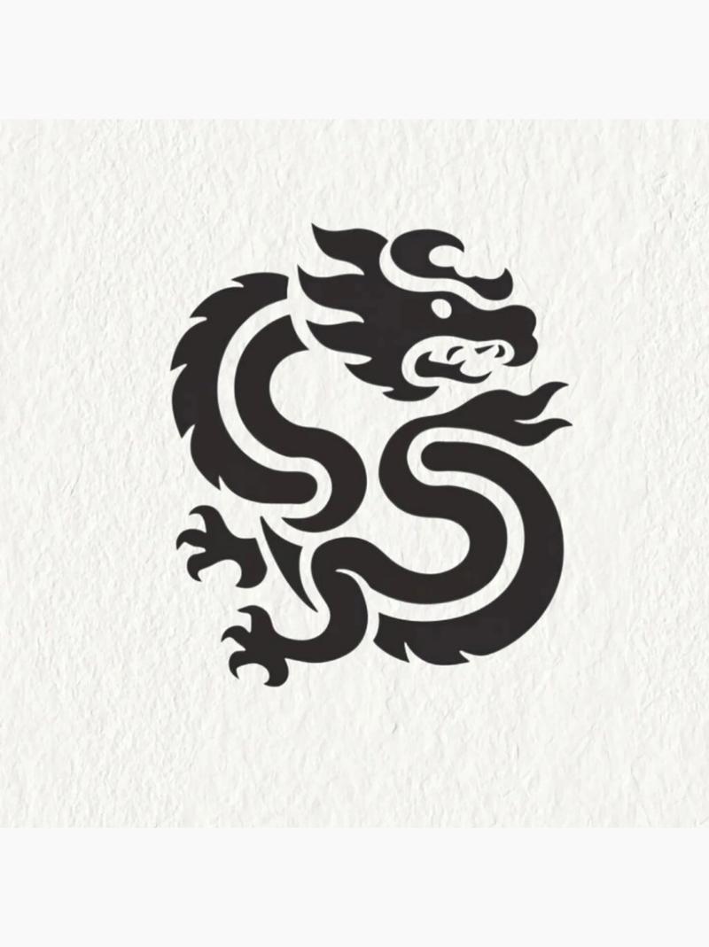 龙将军直装公益