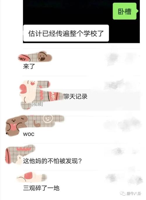 初中学生张婉莹