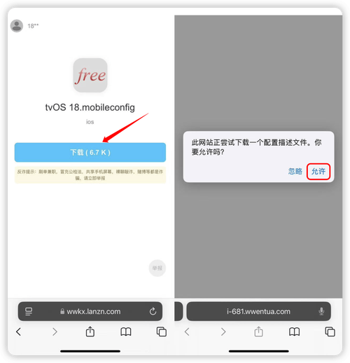 飞鸟vnp官方版