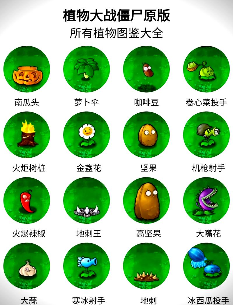 植物大战僵尸核