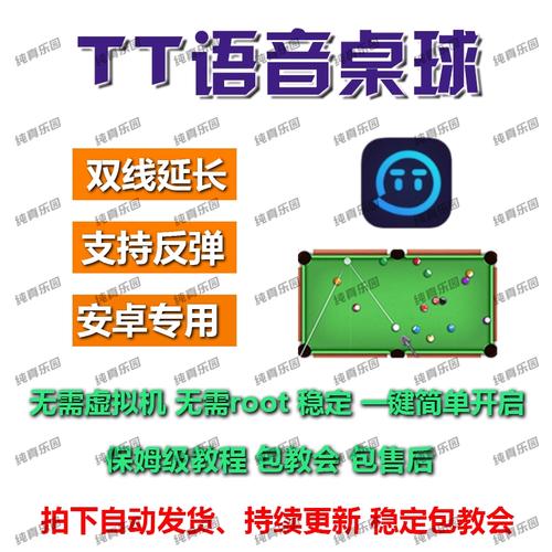 tt语音台球辅
