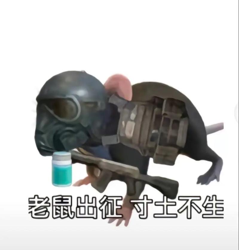 老鼠直装PUB电子版