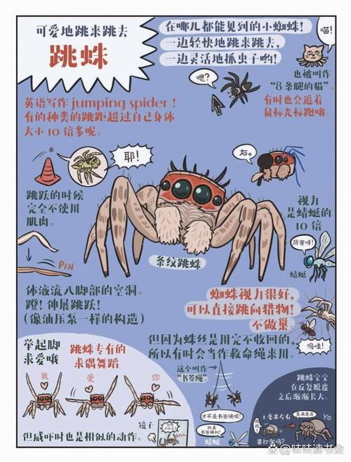 跳一跳大冒险礼