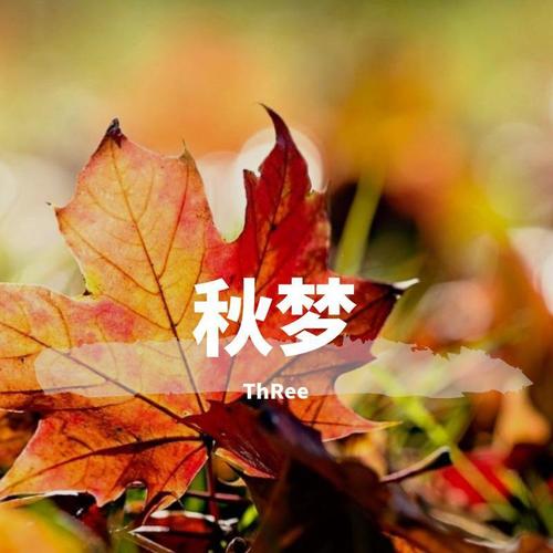 秋梦美化包下载无广告