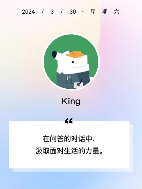 KING国体框架防闪
