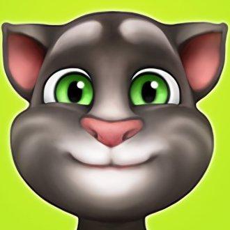 我的汤姆猫1老