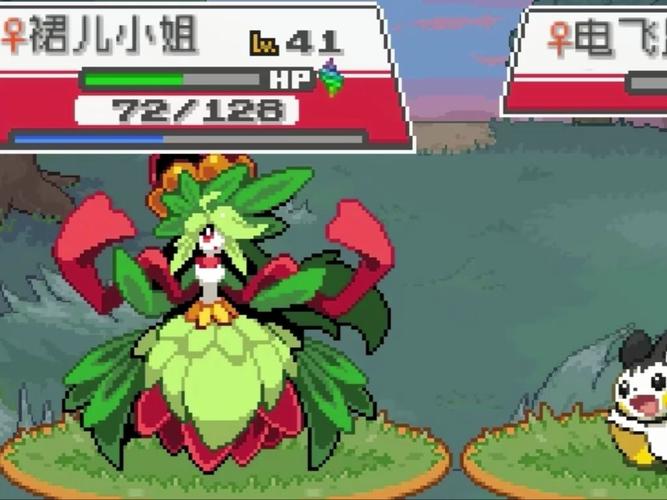 口袋花