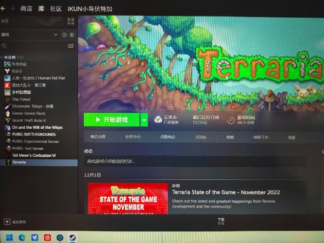 泰拉瑞亚助手