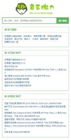老王磁力搜索引