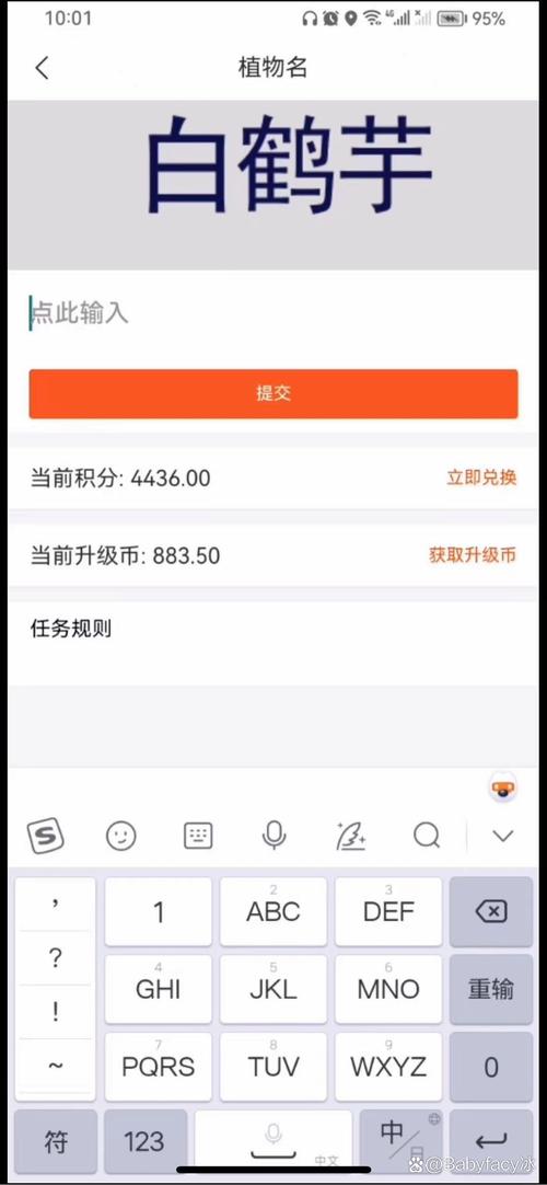 云打字录入平台
