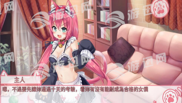 nekohiroima