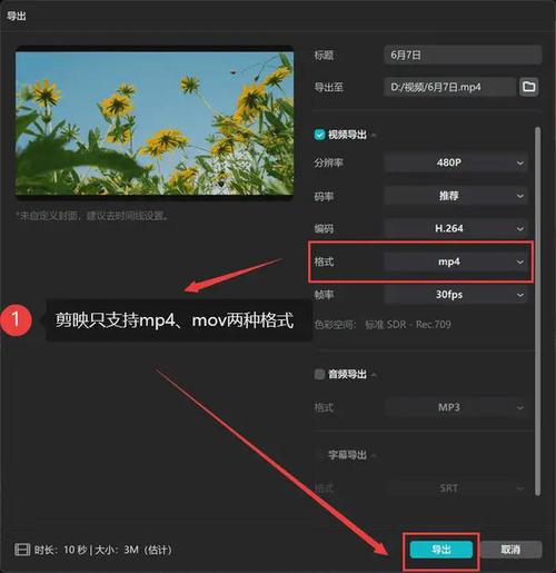 安卓ts视频