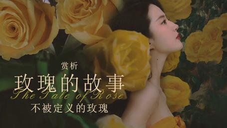 玫瑰影视破解版极速版