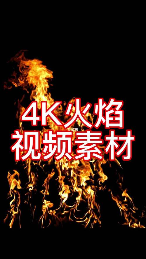 火焰视频app最新版下载2022