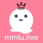 mmlu加速永久