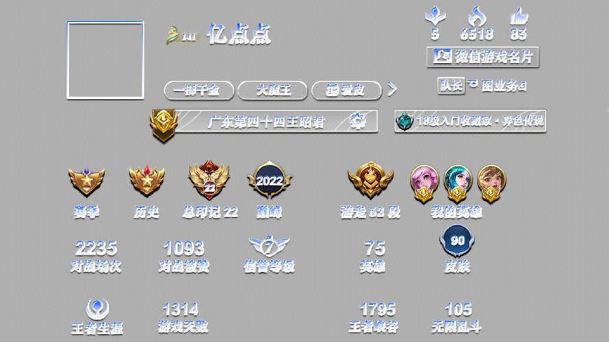 王者主页美化不闪退版