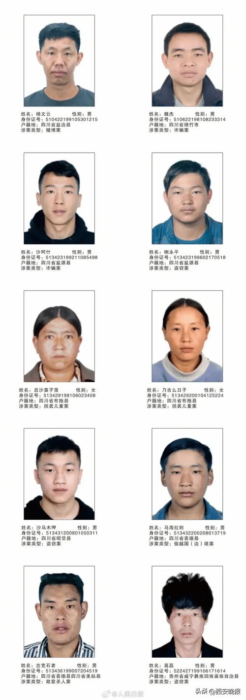 众人悬赏官方版