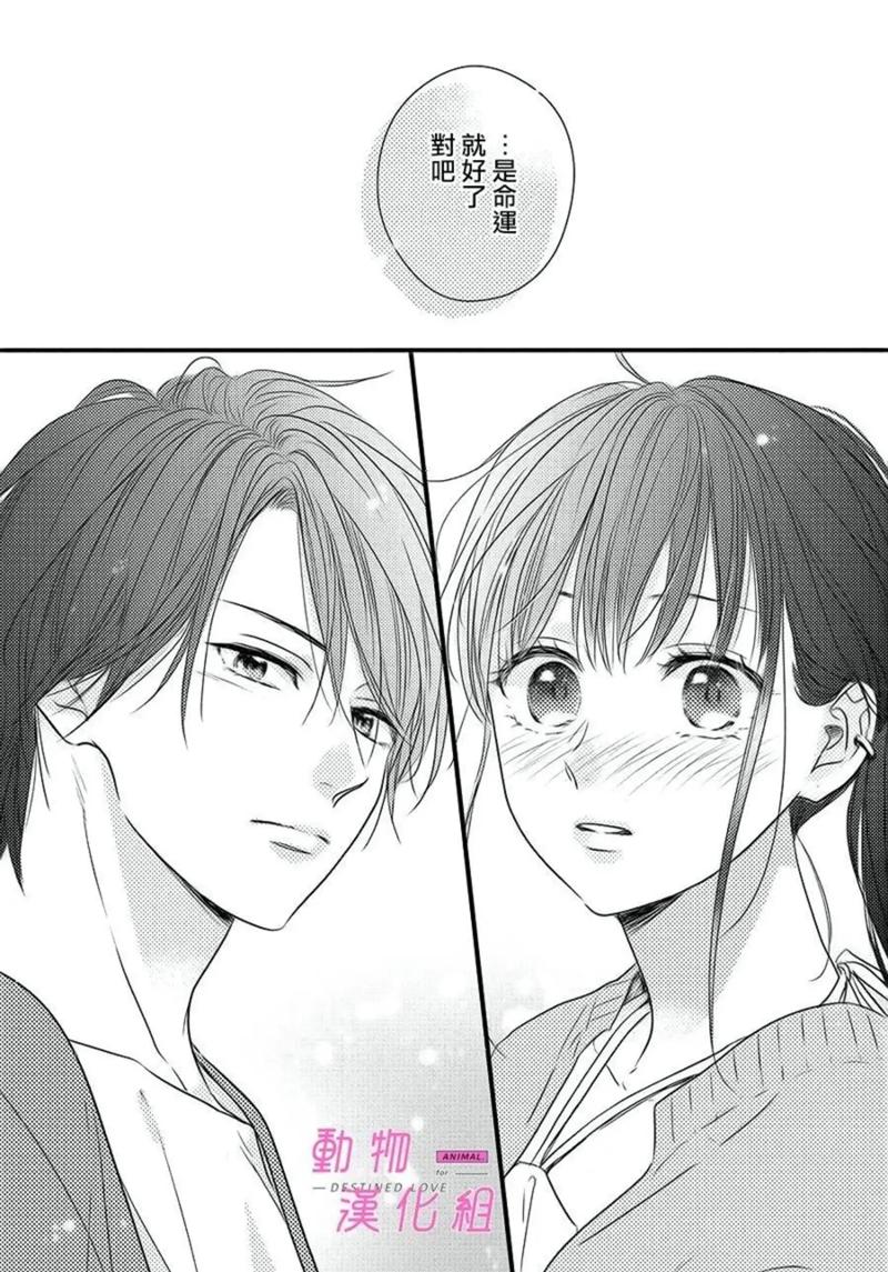 纯情漫画安装版