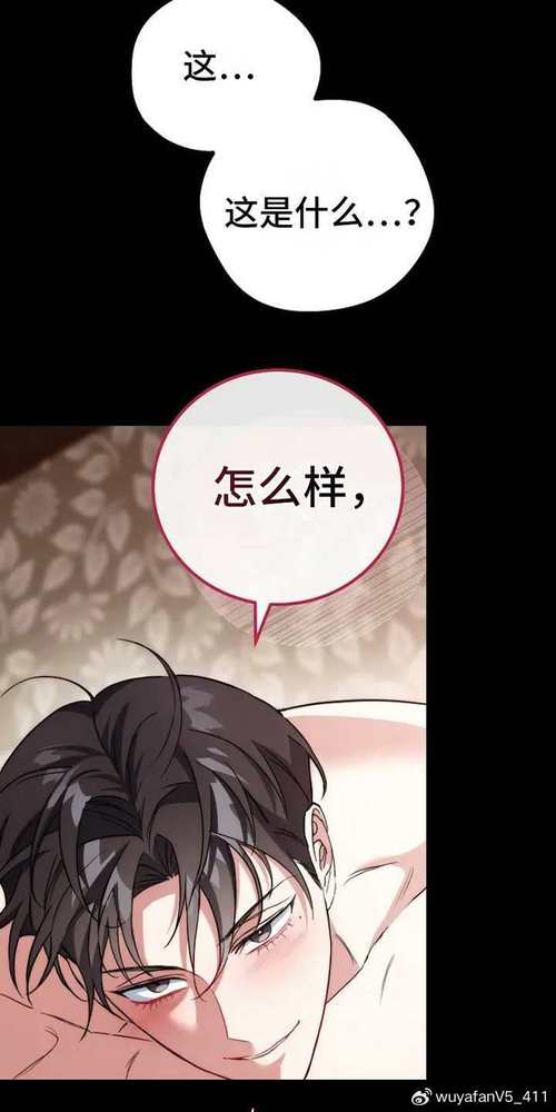 鸟鸟漫画官网版
