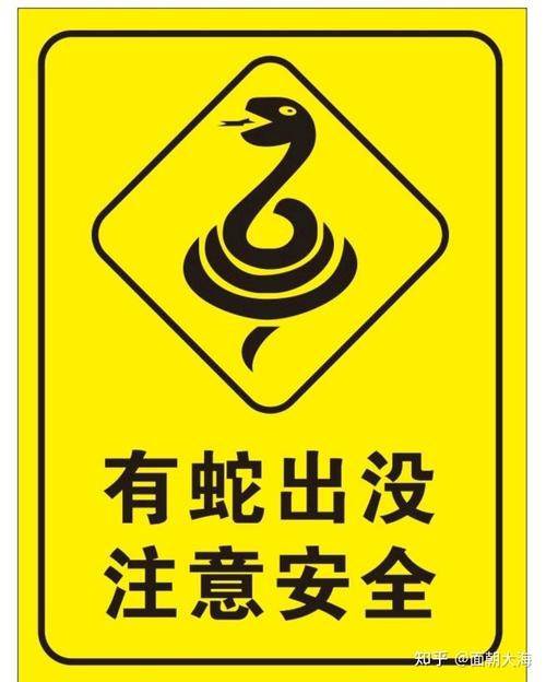 毒蛇辅助器破解版免费官网版内置作弊菜单版