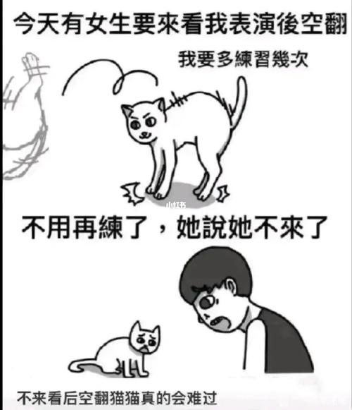 猫咪段子官网版