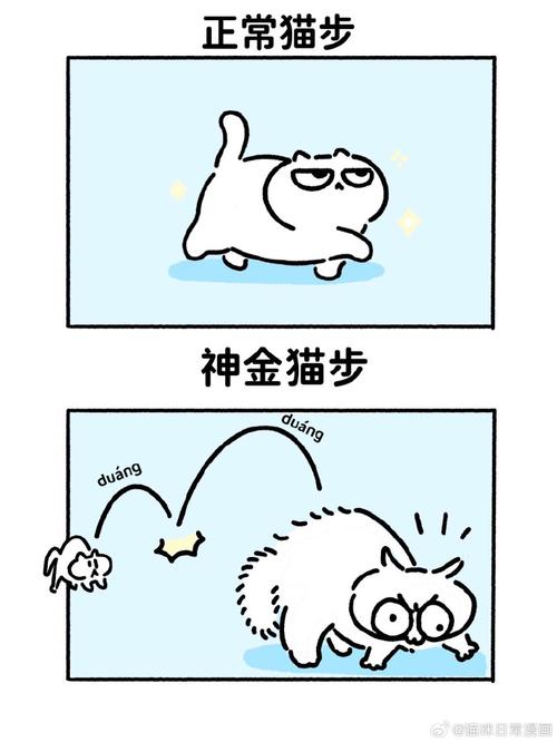 易猫