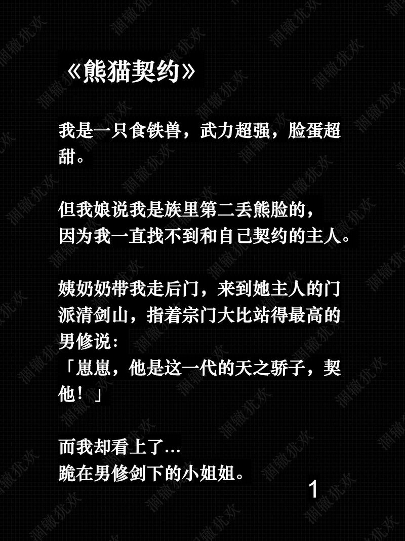 熊猫小说APP