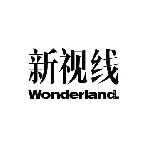新视觉高级版