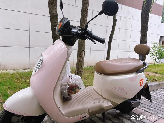 dm530风车动漫