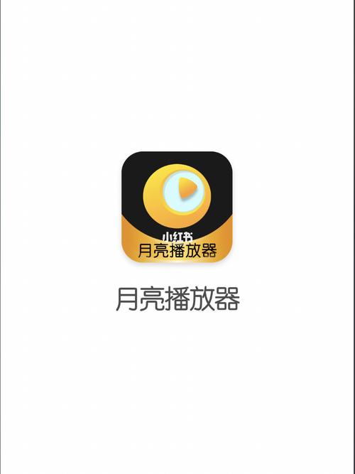 月亮播放器app下载稳定版