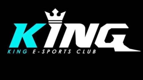KING国体框架防闪