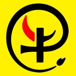 牛牛视频app