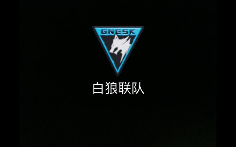 暗区top直装