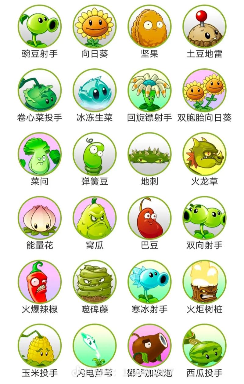 植物大战僵尸2全植物五阶