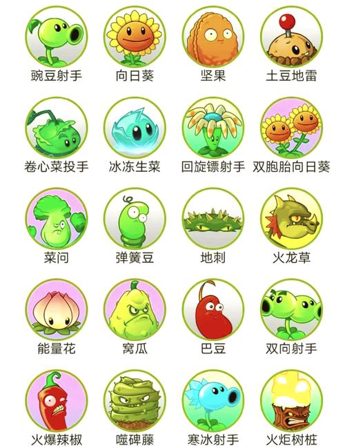 植物大战僵尸B轻量版