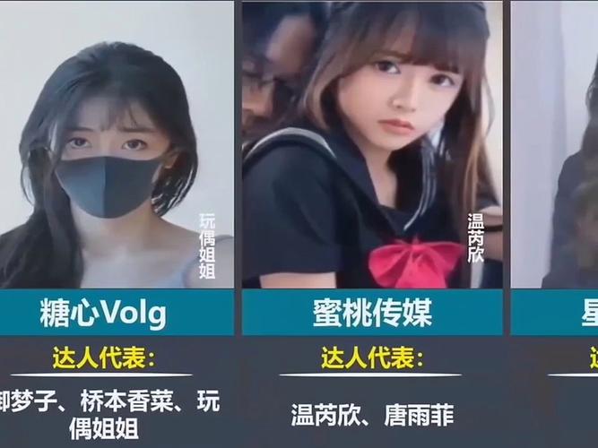 糖心传媒旗下艺人名字安卓破解电子书版