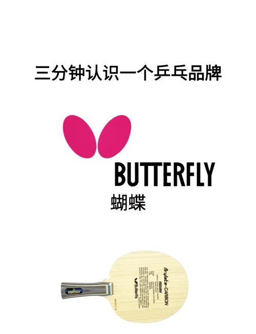 虚拟乒乓球官方正版破解无限配额流鼻血版本