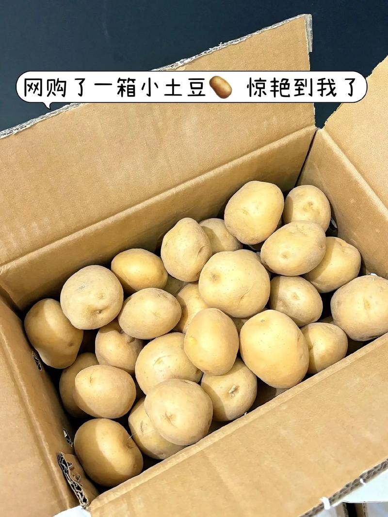 小土豆内部直装