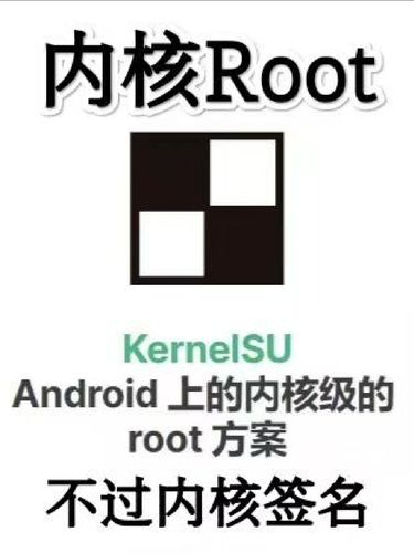 lsp框架免r