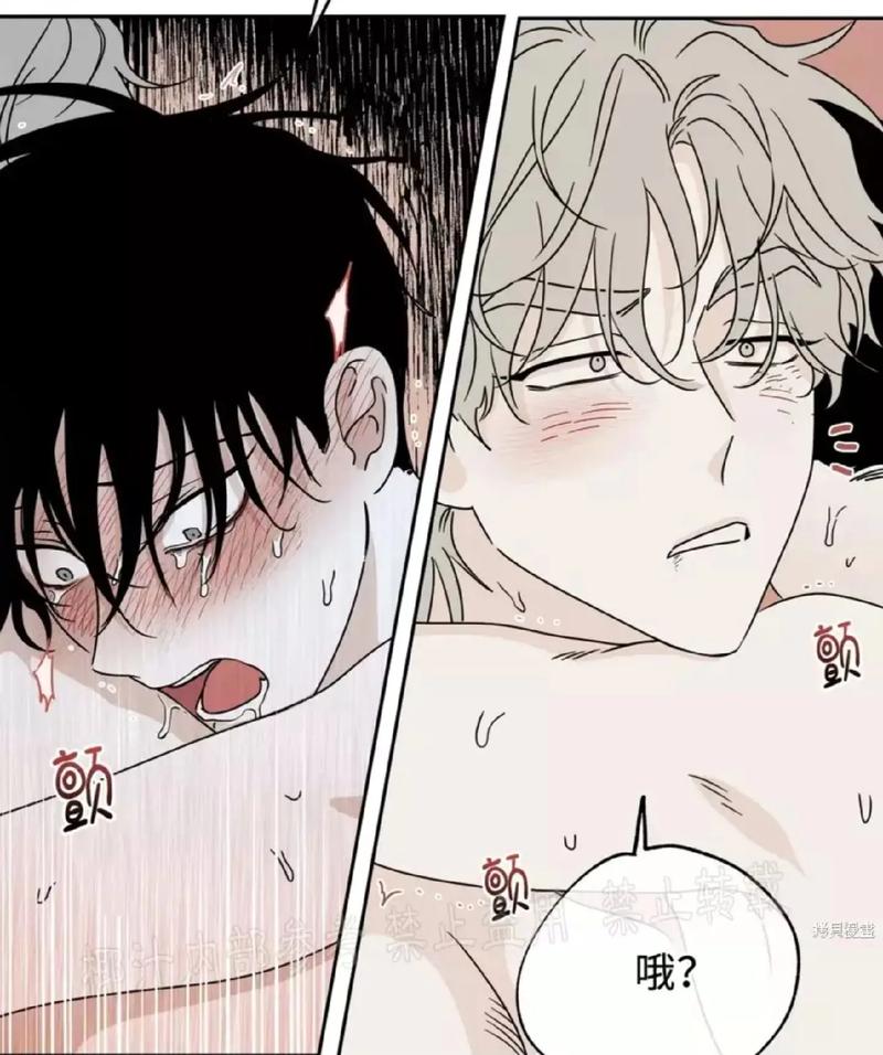 秀秀漫画未删减版在线观看免费正版